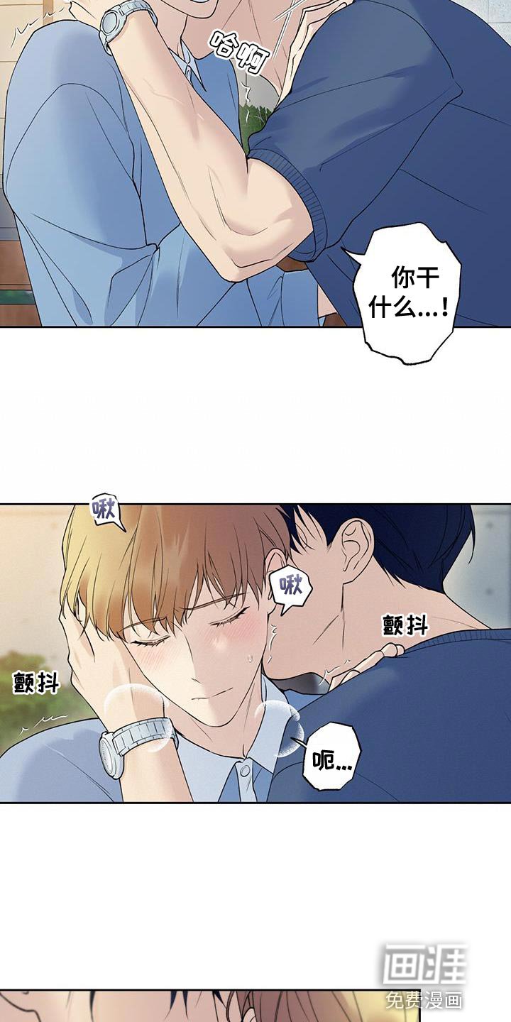 第44章：差不多解决了