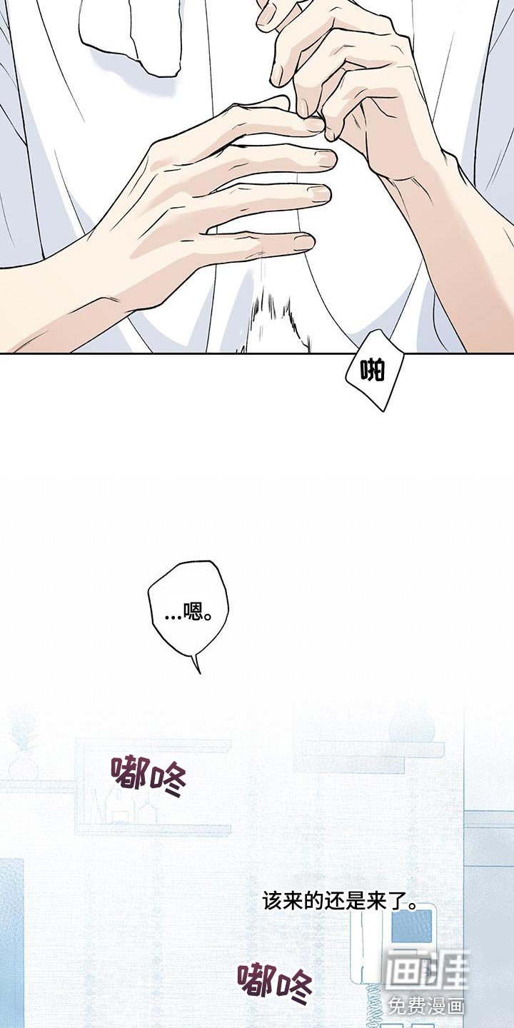 第51章：好日子