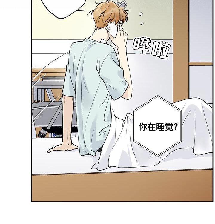 第51章：好日子