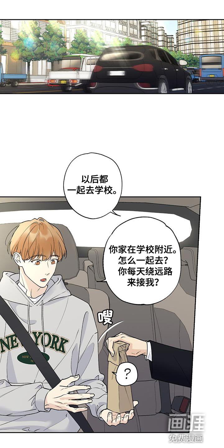 第51章：好日子