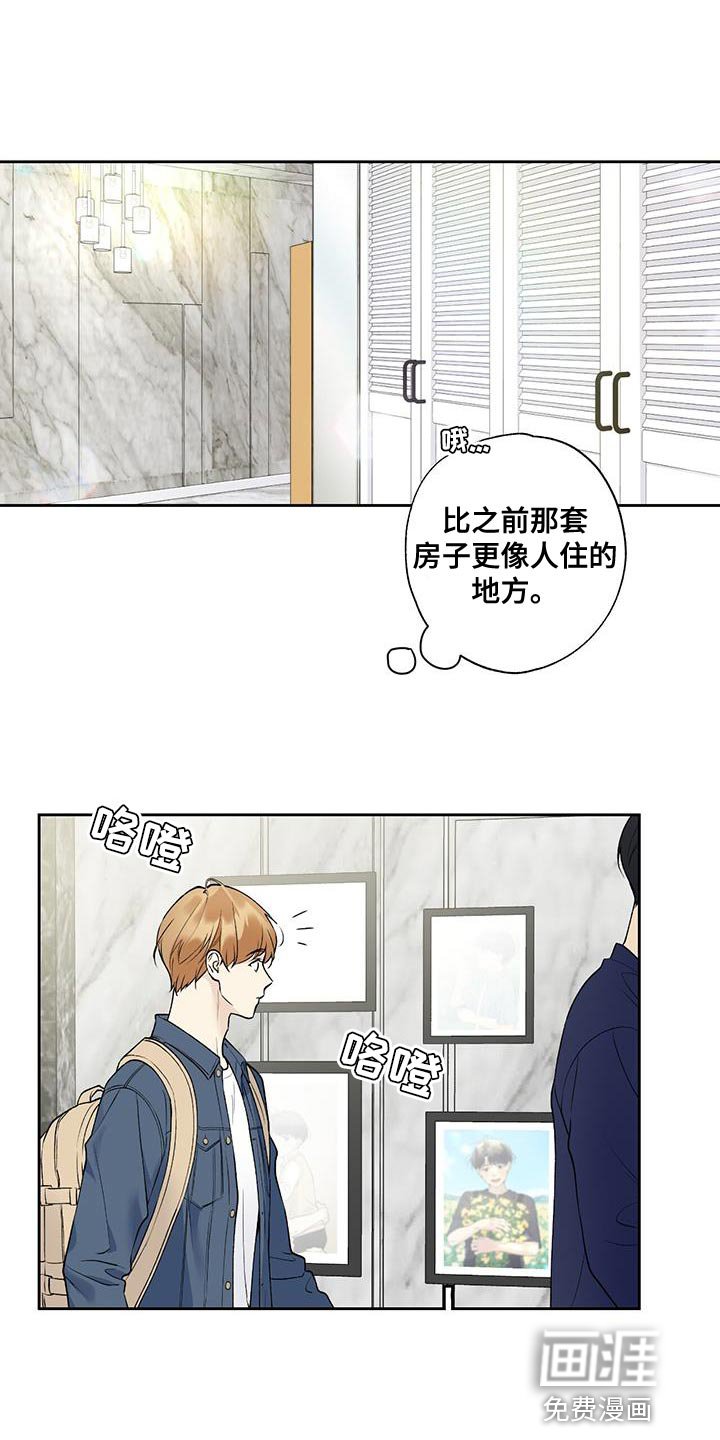 第54章：看电影
