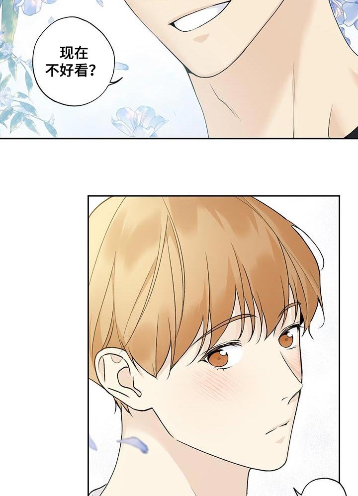 第54章：看电影