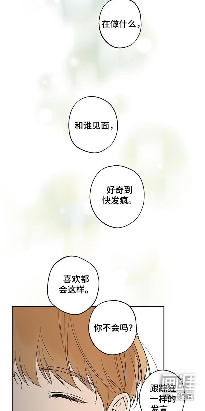 第71章：【第二季】好奇喜欢的人