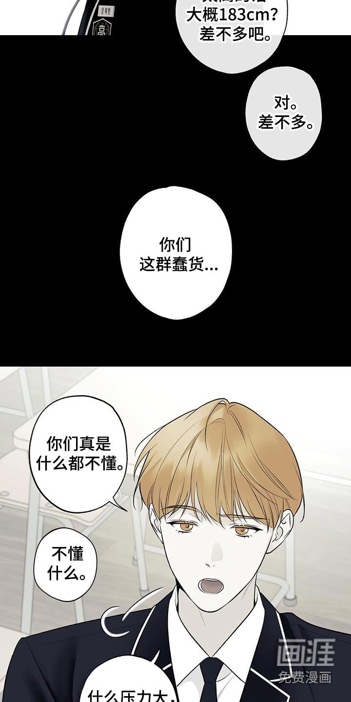 第81章：【第二季】太高