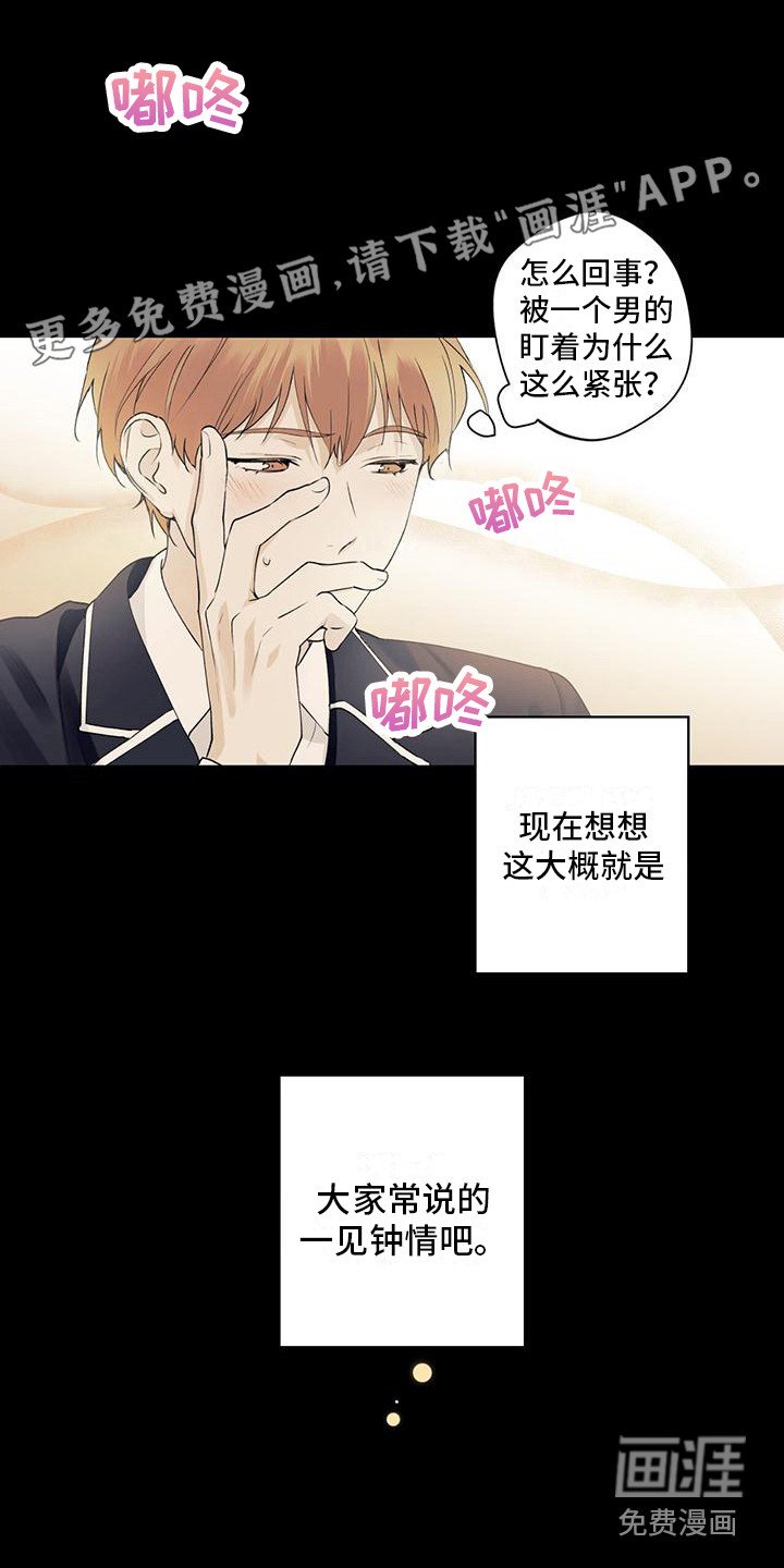 第9章：一见钟情