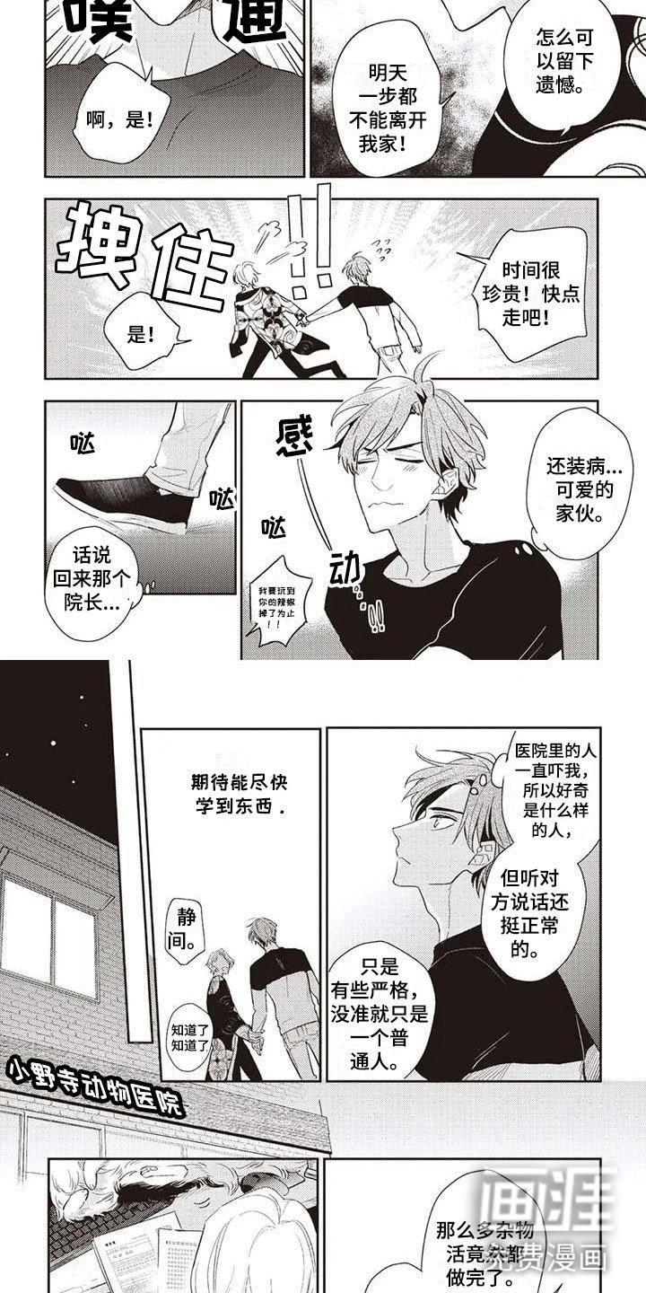 第11章：医院来电