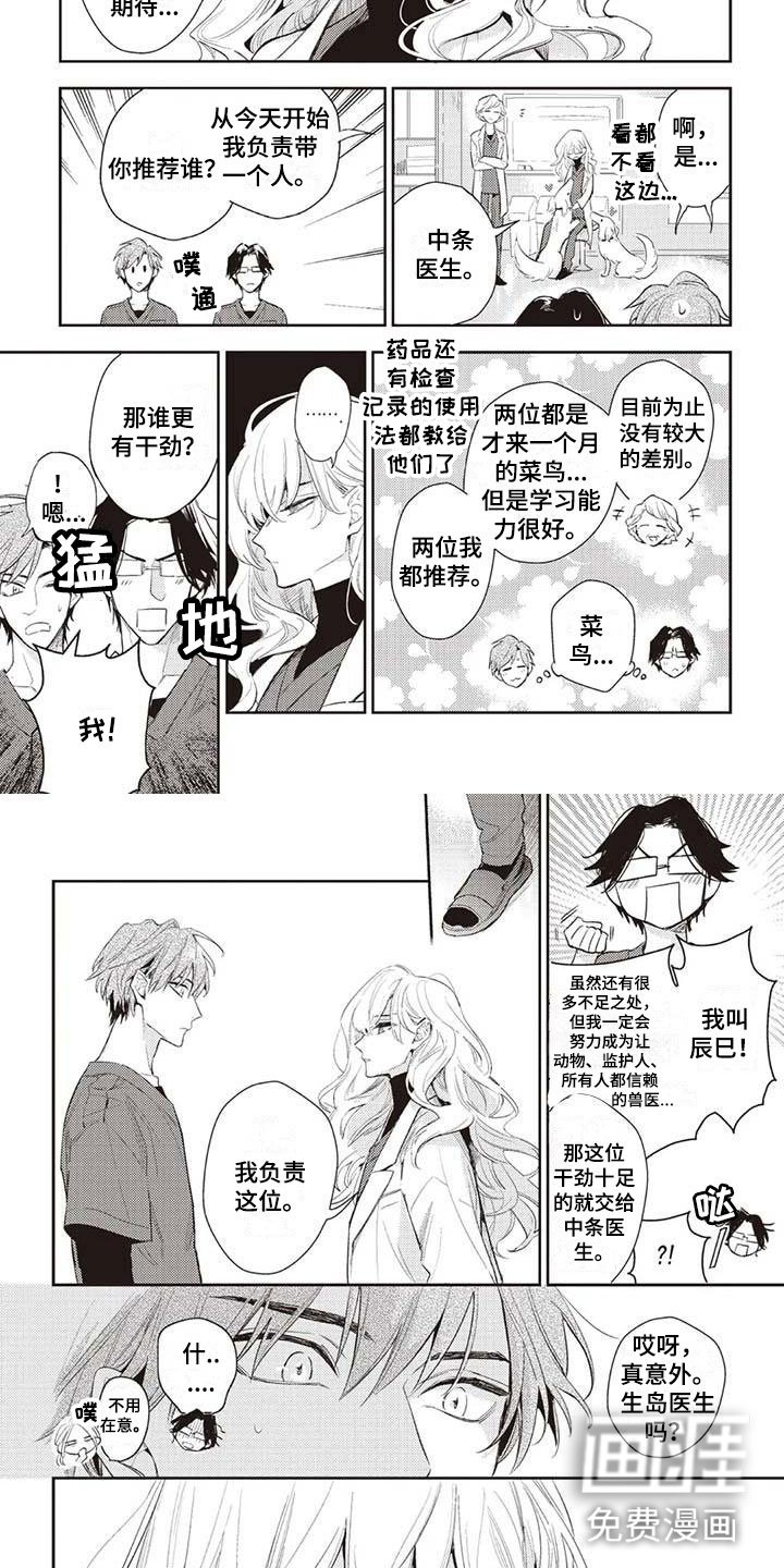 第20章：生岛医生