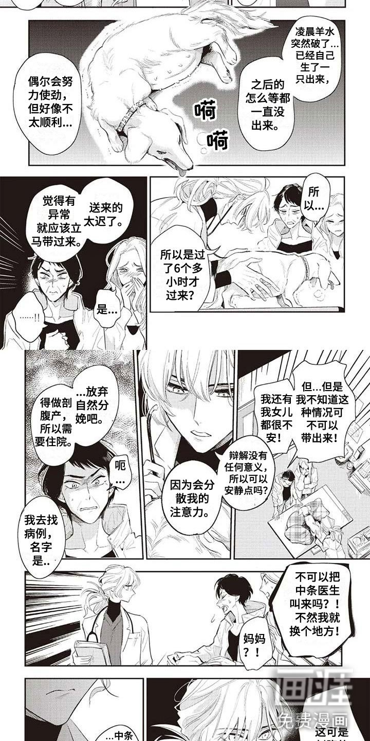 第24章：紧急情况