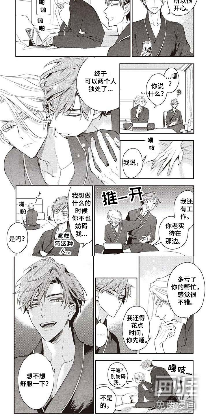 第29章：摄影考察