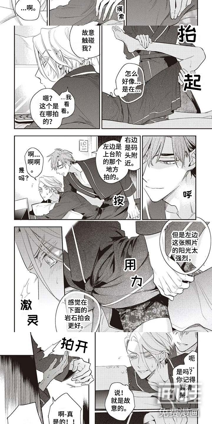 第29章：摄影考察