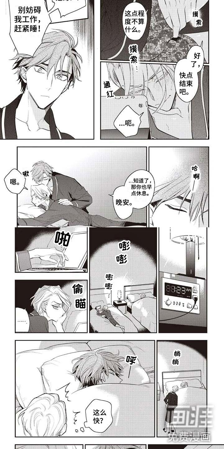 第29章：摄影考察