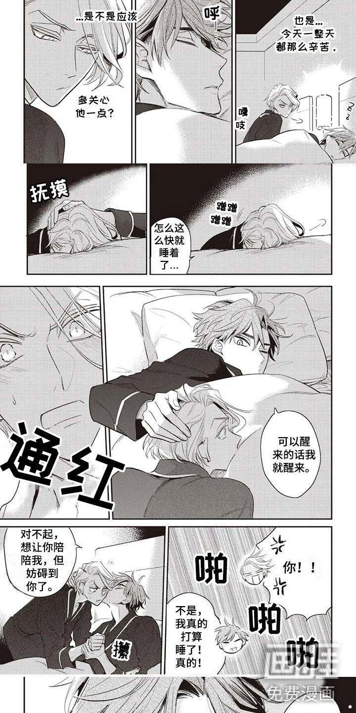第29章：摄影考察