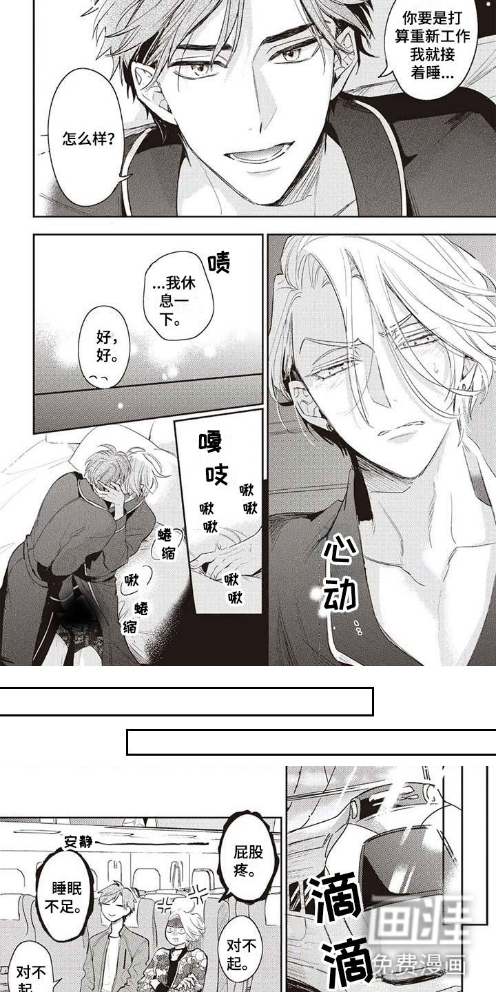 第29章：摄影考察