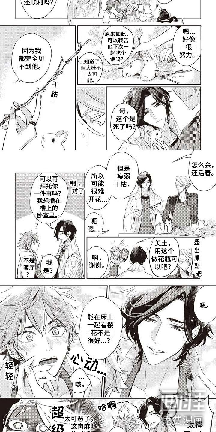第5章：开花