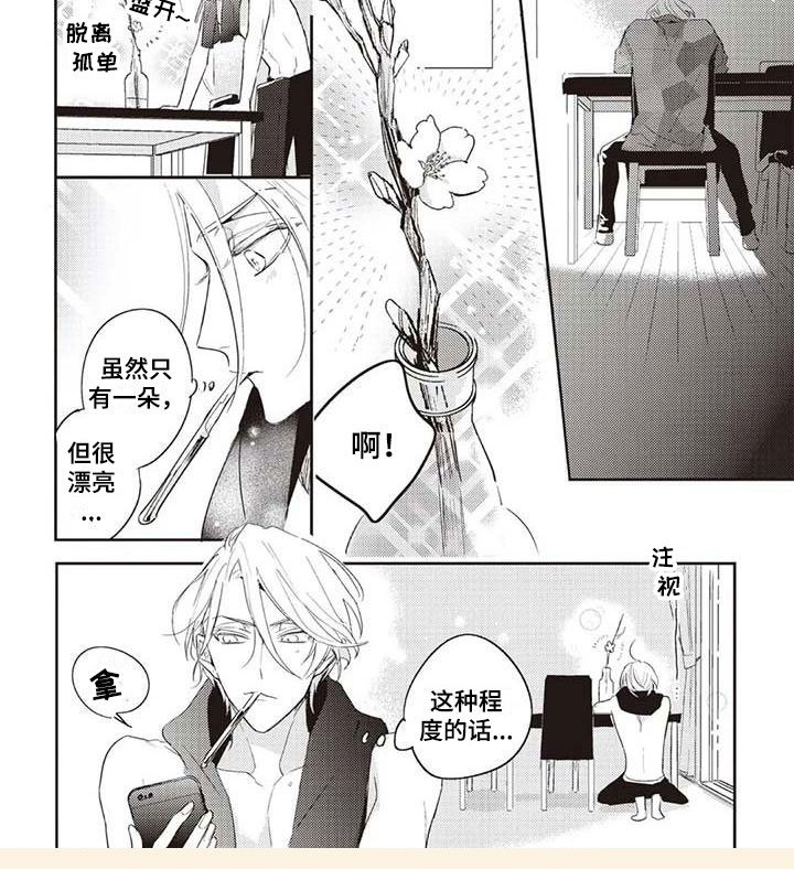 第5章：开花