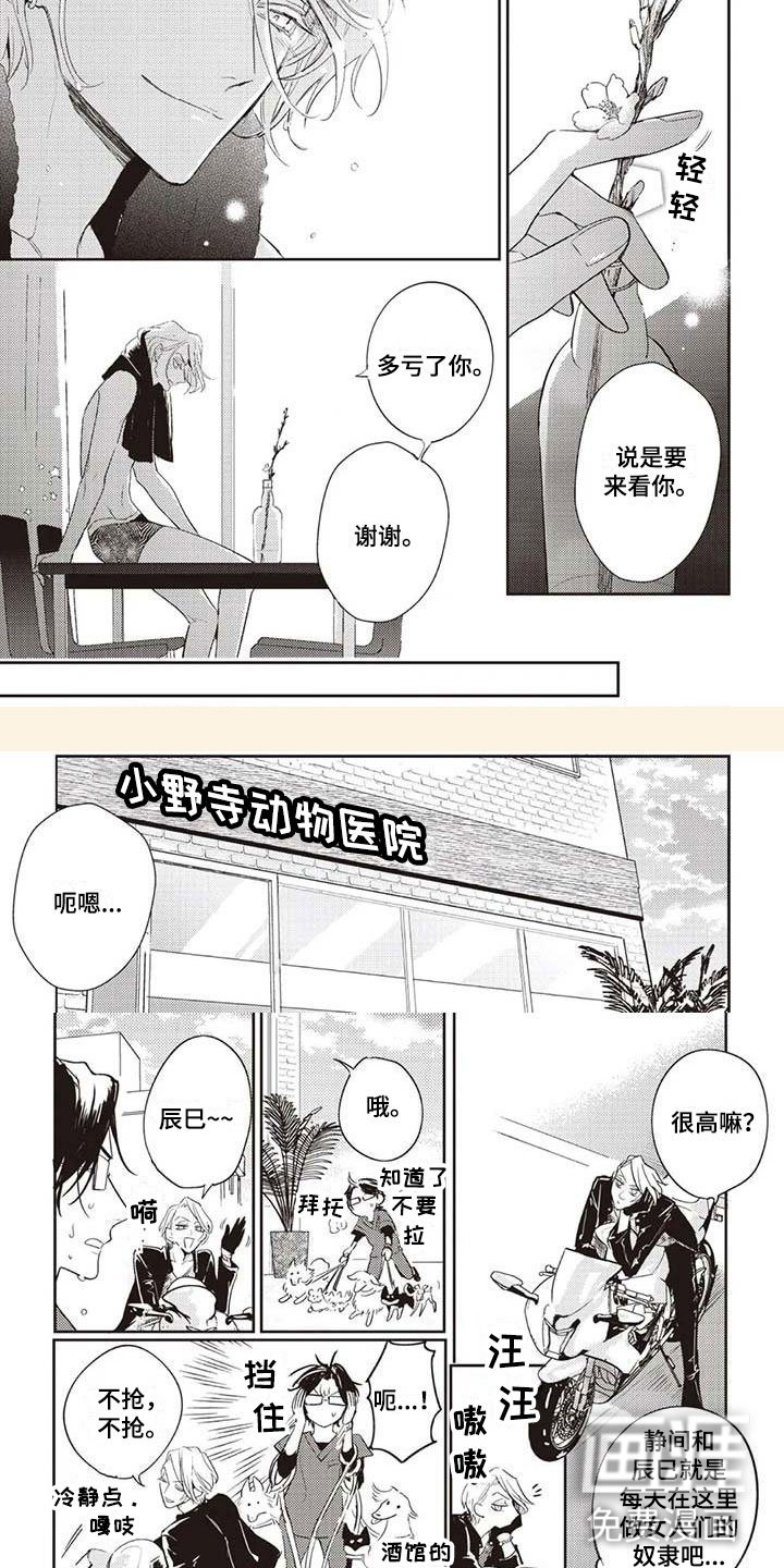 第6章：终于见面