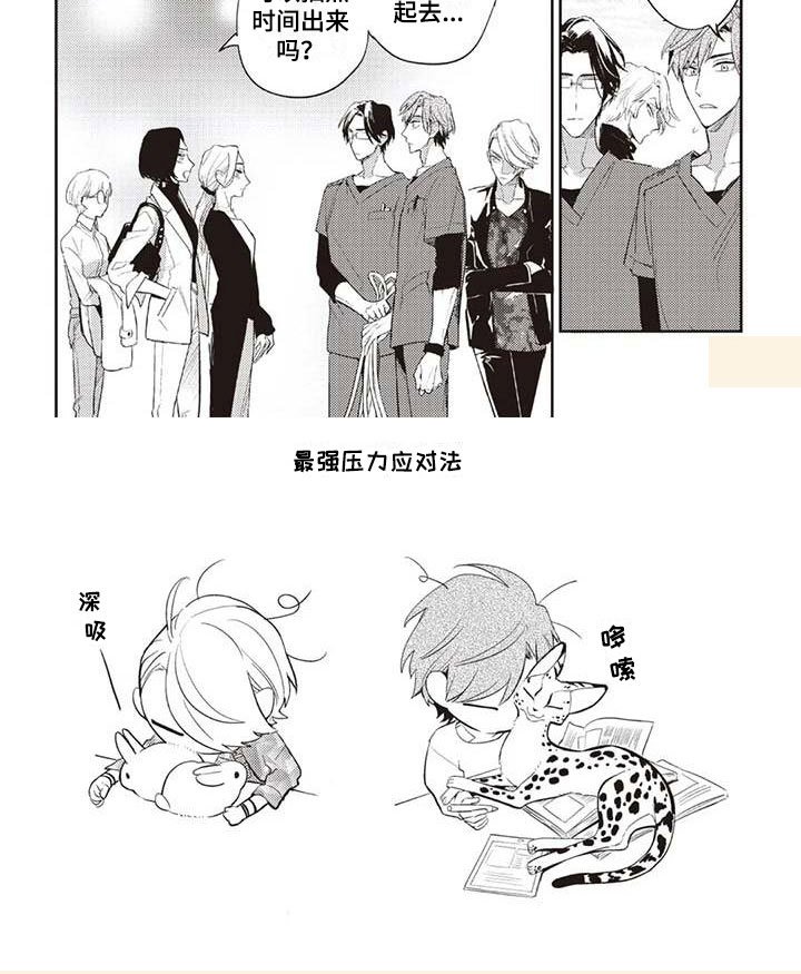第6章：终于见面
