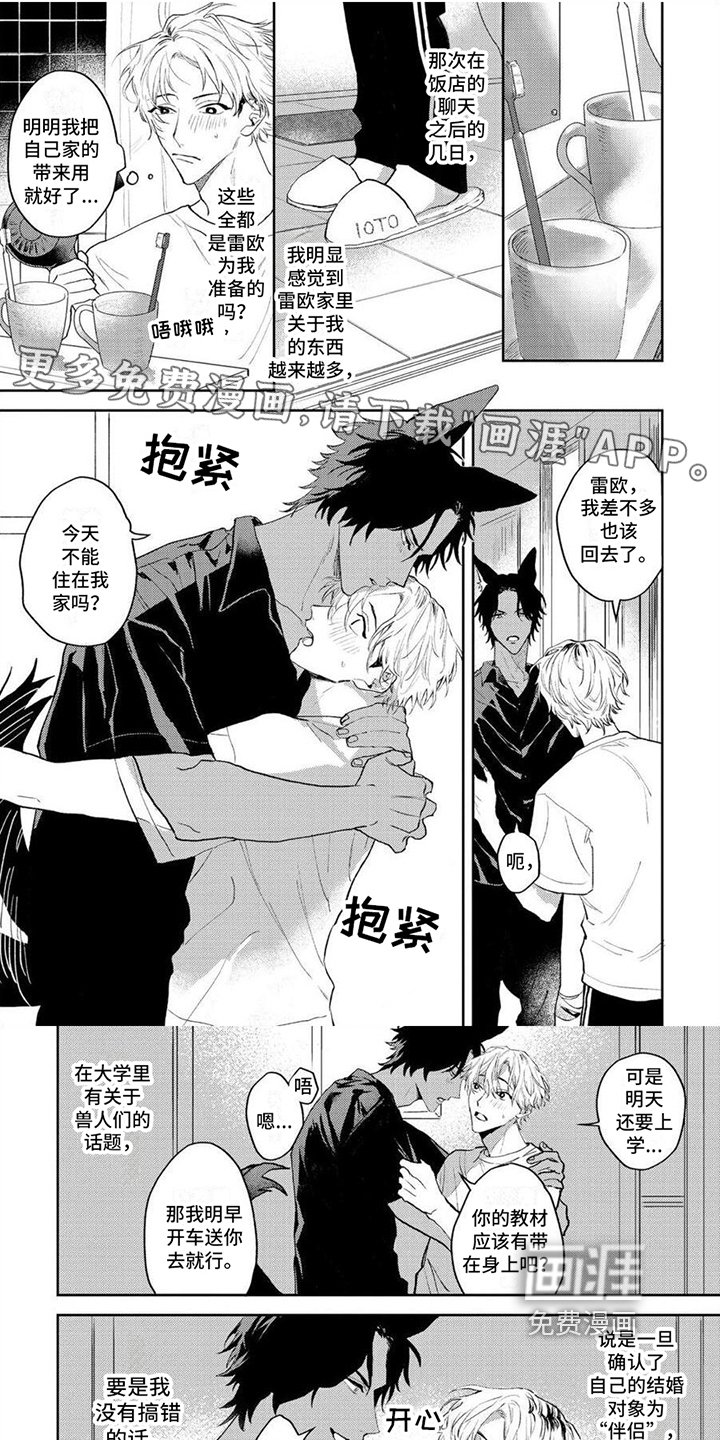 第10章：决定