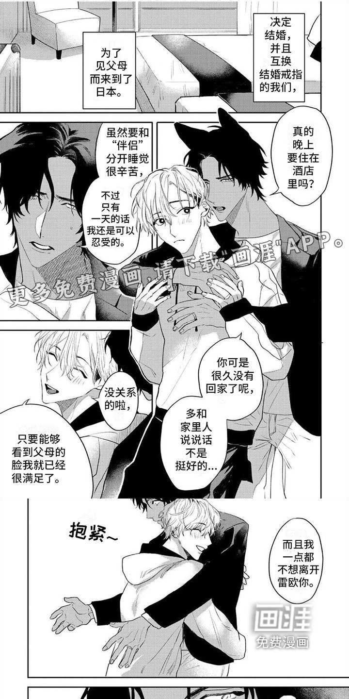 第15章：【番外】称职的太太