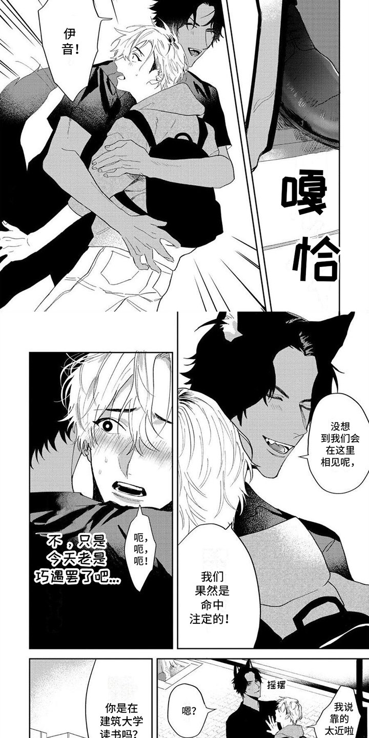 第2章：强势