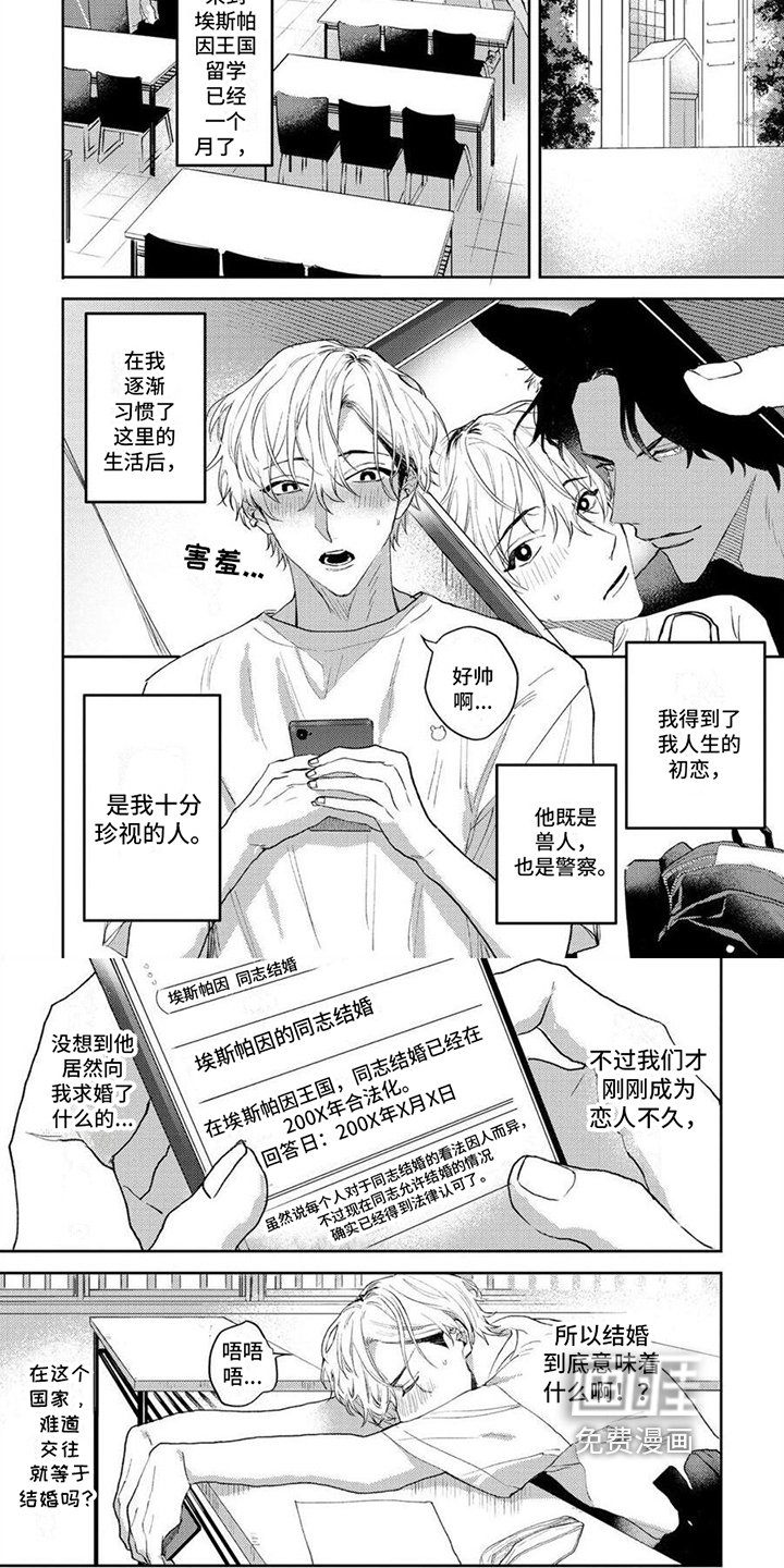 第9章：求婚