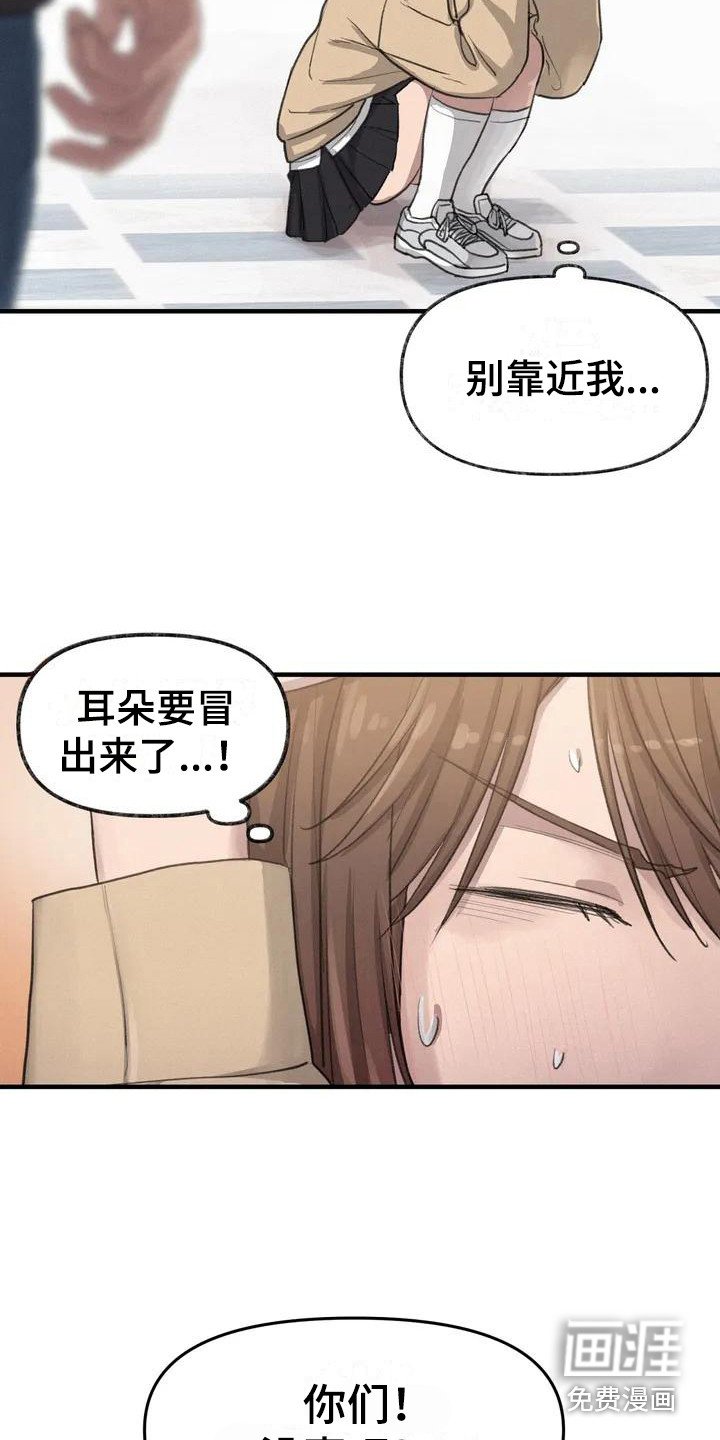 第12章：表白
