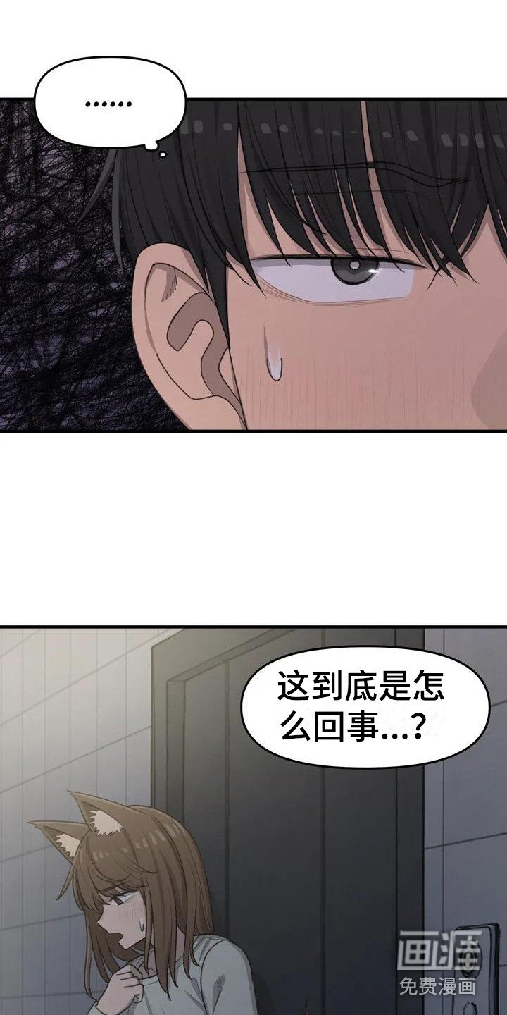 第19章：约定