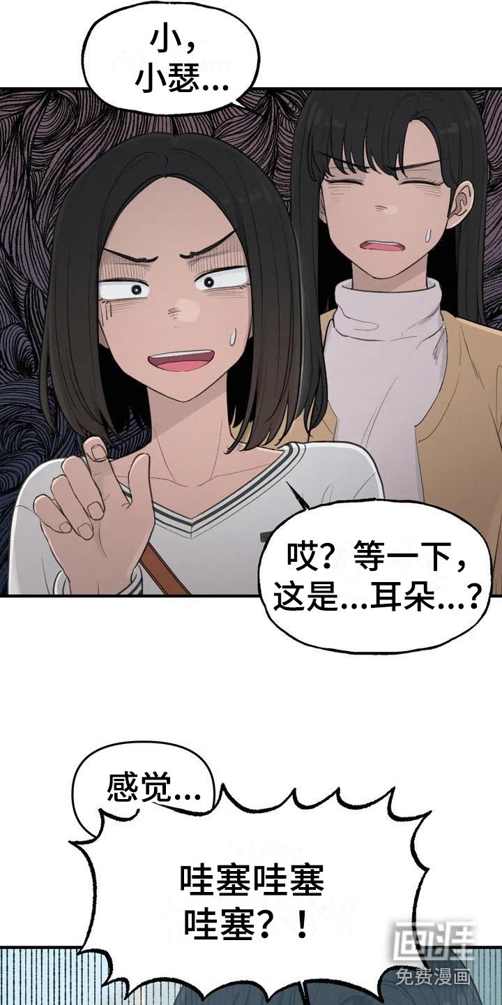 第23章：耳朵