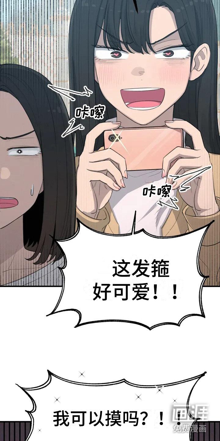 第23章：耳朵