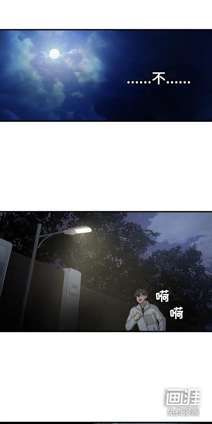 第28章：公园