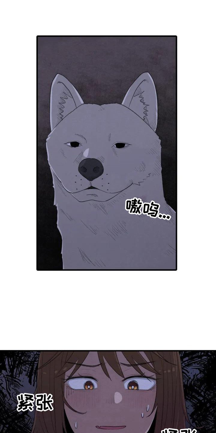 第3章：汪汪叫