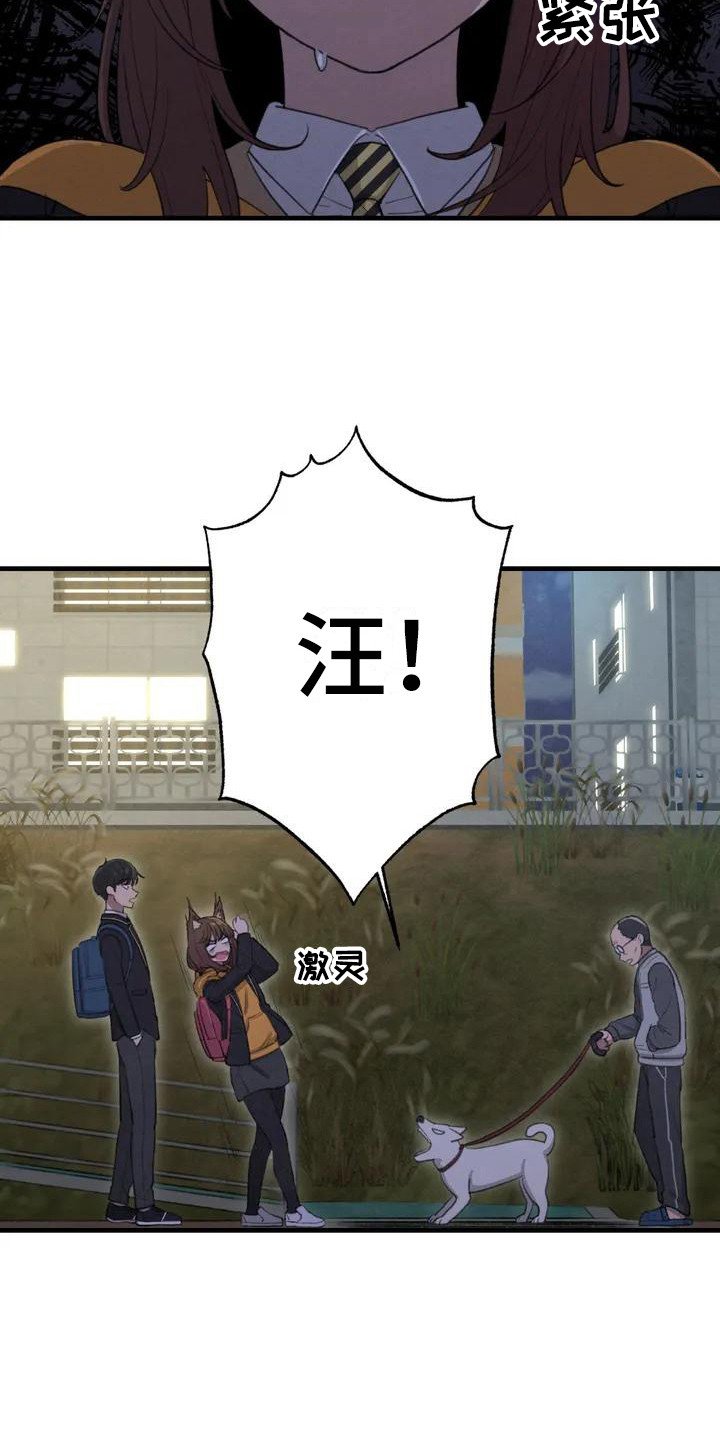 第3章：汪汪叫