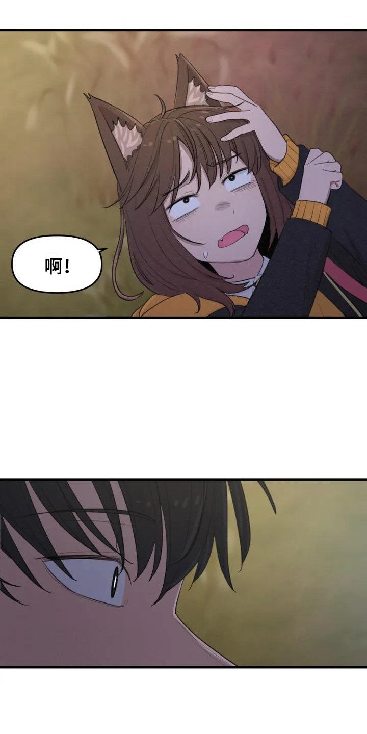 第3章：汪汪叫