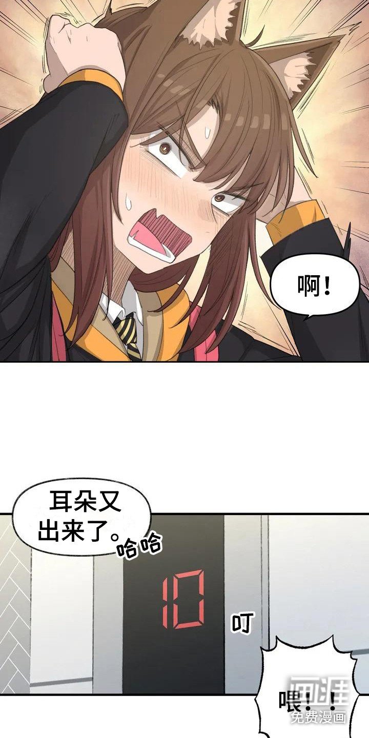 第31章：新的开始