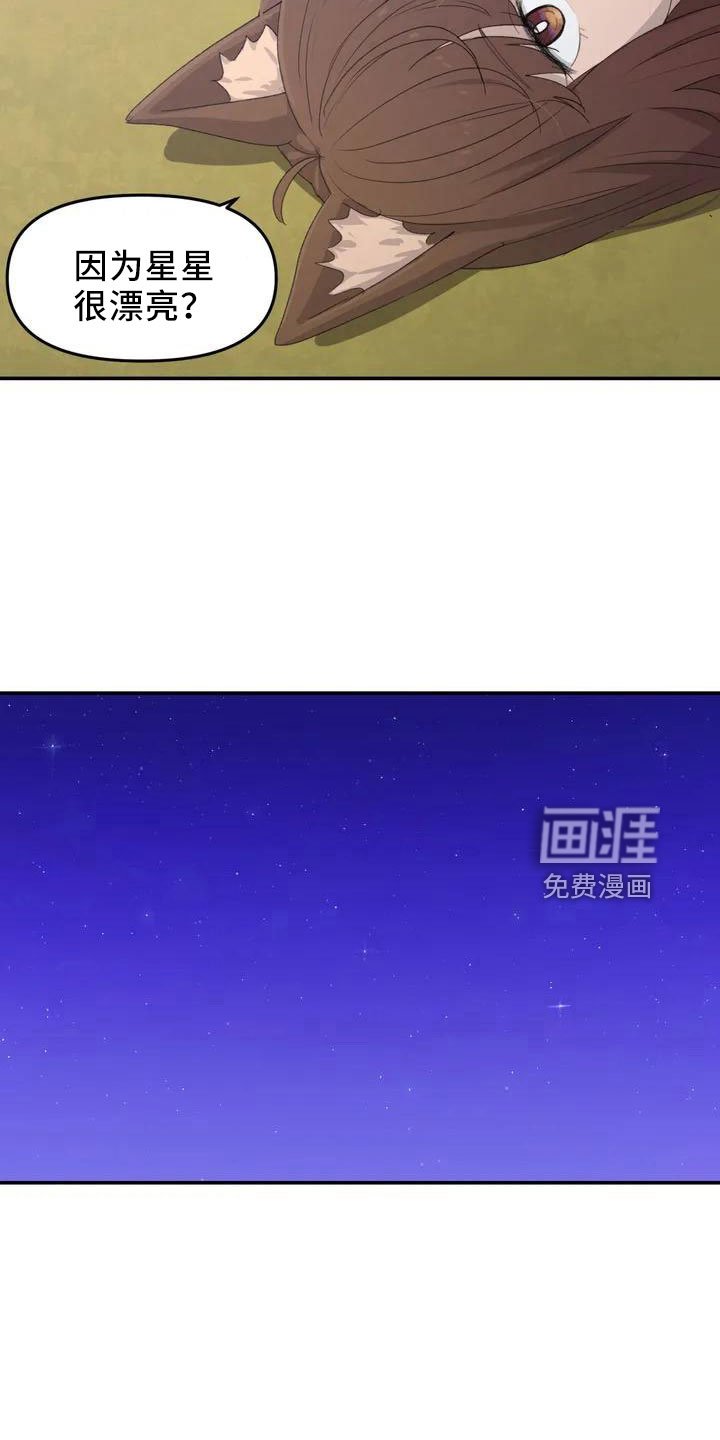第44章：不了解