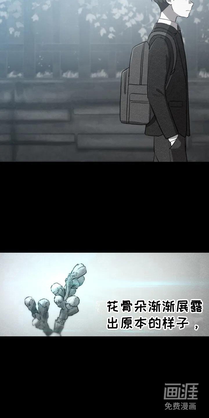 第5章：再次跳动