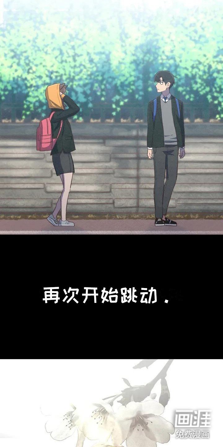 第5章：再次跳动