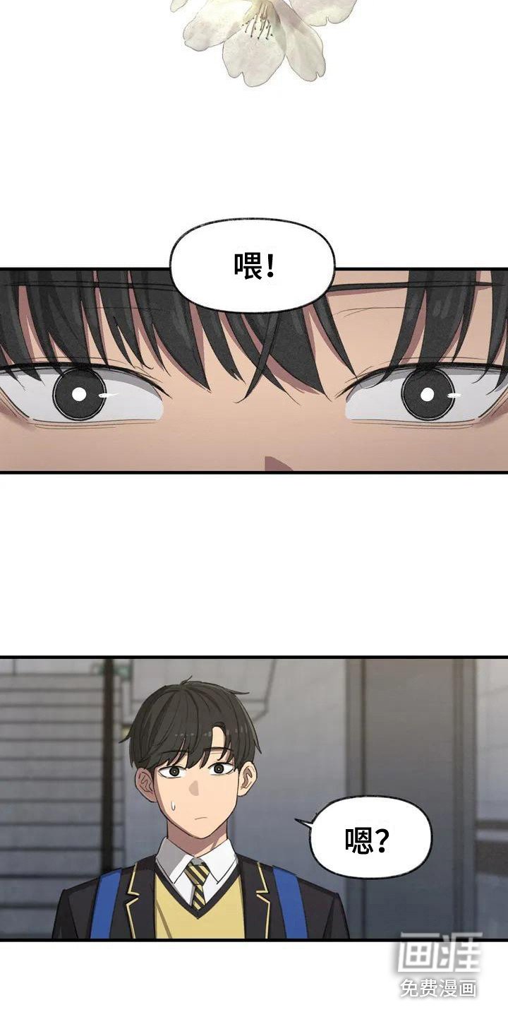 第5章：再次跳动