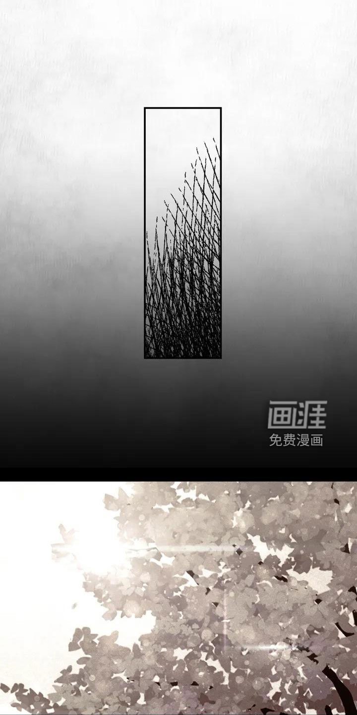 第50章：长尾巴