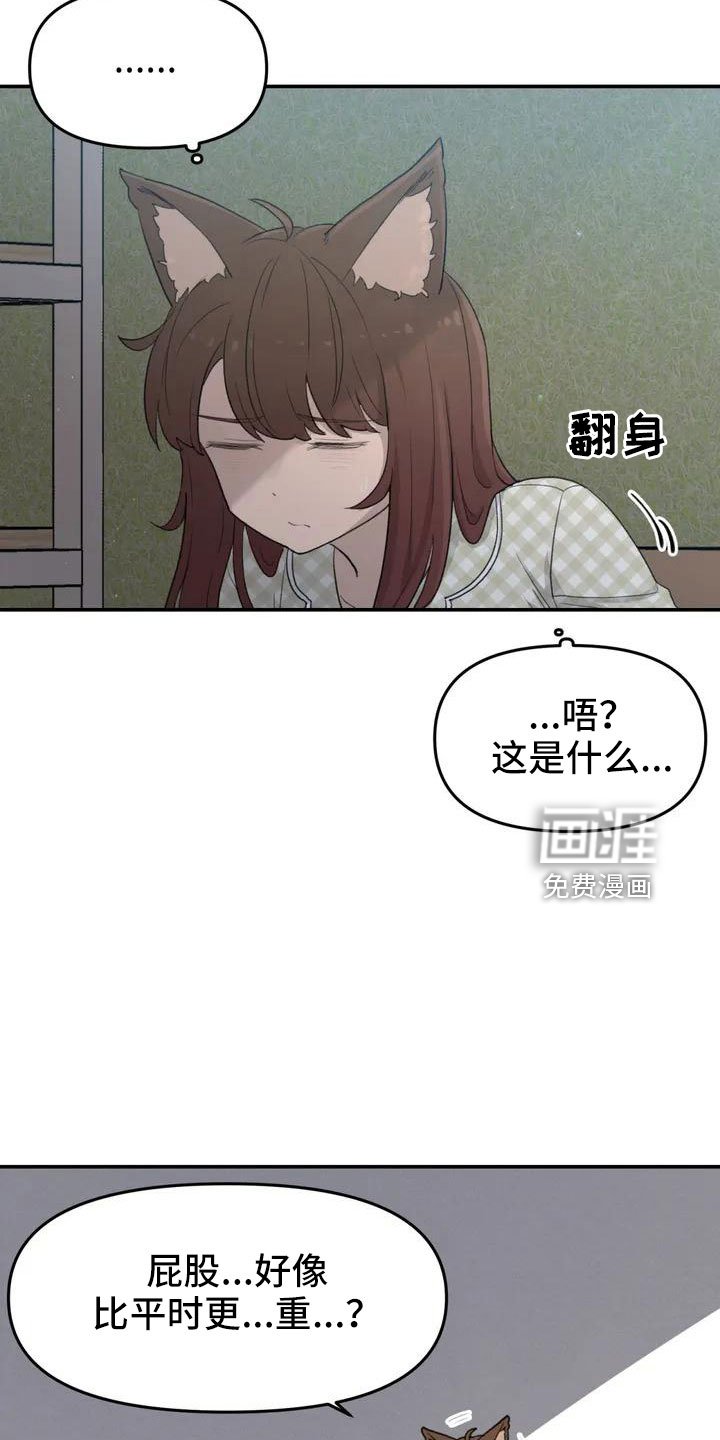 第50章：长尾巴