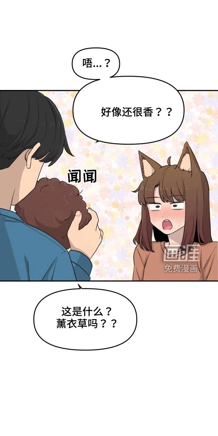 第51章：还很香