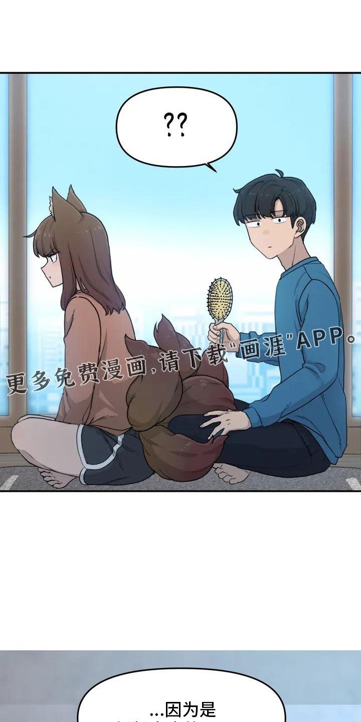 第51章：还很香