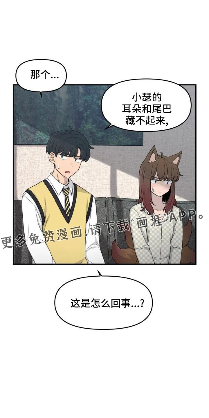 第53章：羞羞的事