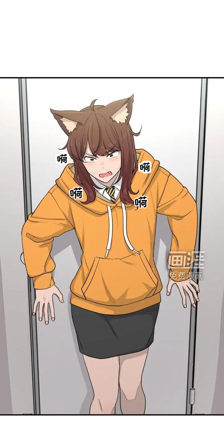 第54章：突发情况