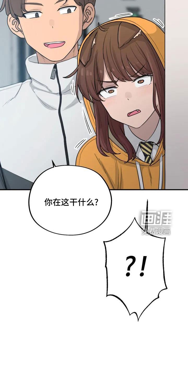 第55章：搞砸了吧
