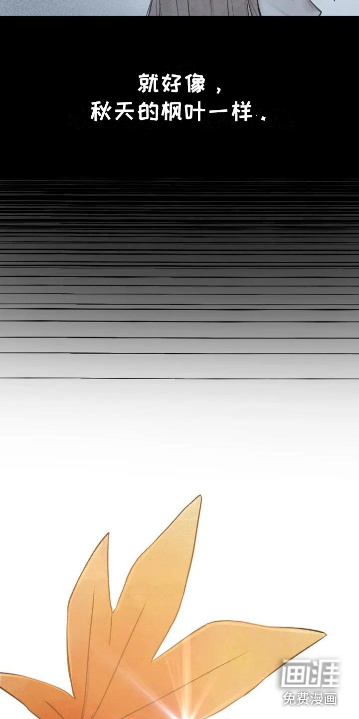 第6章：枫叶一样