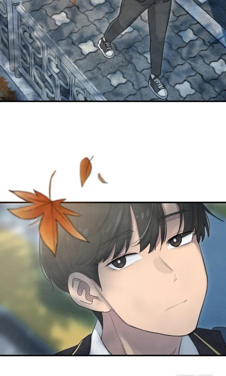 第6章：枫叶一样
