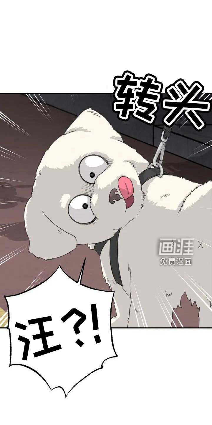 第62章：别慌张