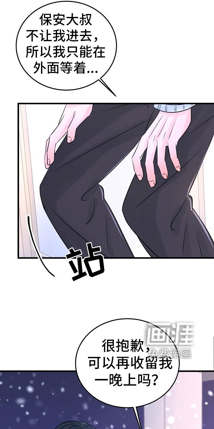 第14章：收留