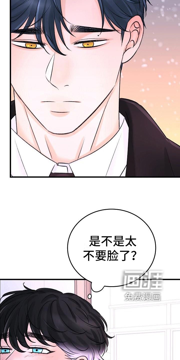 第14章：收留